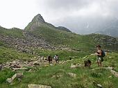 Dalle Baite di Mezzeno giro ad anello a Cima Giovanni Paolo II, ai Laghi Gemelli e ai Laghetti della Paura e di Val Vegia - 11 luglio 2010 - FOTOGALLERY